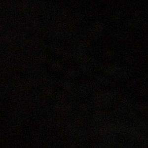 Meet your Posher, Lucy